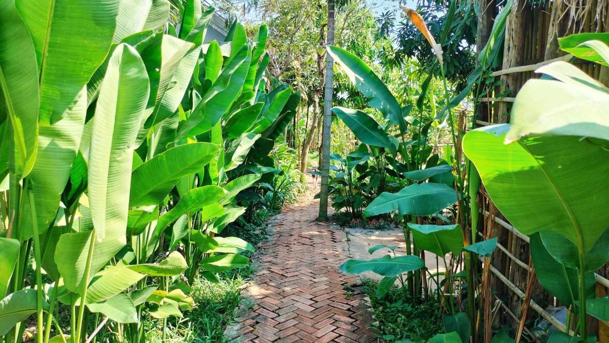 Urban Farmhouse Siem Reap Exterior foto